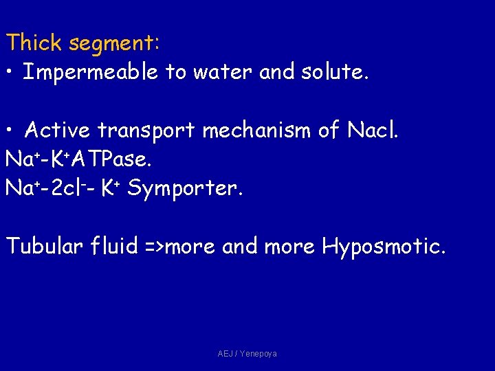 Thick segment: • Impermeable to water and solute. • Active transport mechanism of Nacl. Thick segment: • Impermeable to water and solute. • Active transport mechanism of Nacl.
