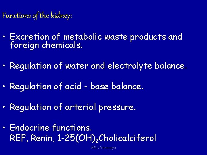 Functions of the kidney: • Excretion of metabolic waste products and foreign chemicals. • Functions of the kidney: • Excretion of metabolic waste products and foreign chemicals. •
