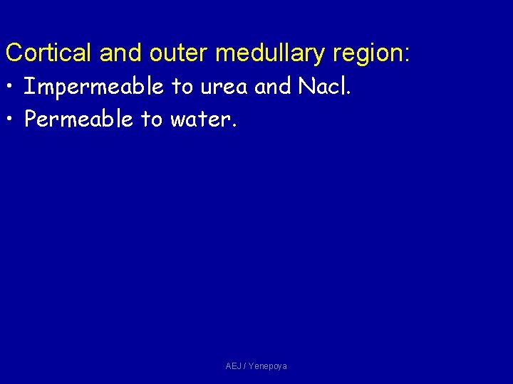 Cortical and outer medullary region: • Impermeable to urea and Nacl. • Permeable to Cortical and outer medullary region: • Impermeable to urea and Nacl. • Permeable to