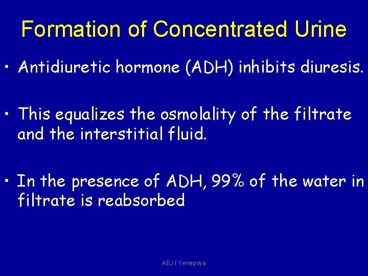 Formation of Concentrated Urine • Antidiuretic hormone (ADH) inhibits diuresis. • This equalizes the Formation of Concentrated Urine • Antidiuretic hormone (ADH) inhibits diuresis. • This equalizes the