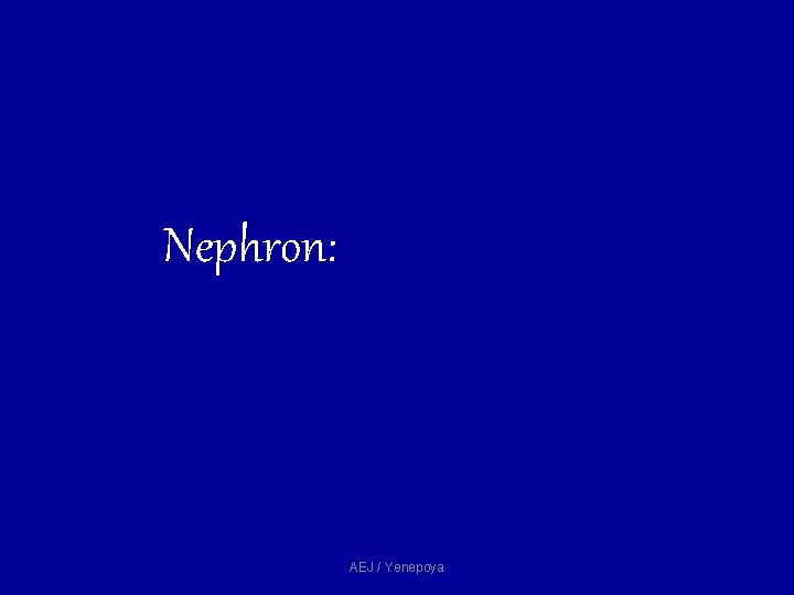 Nephron: AEJ / Yenepoya Nephron: AEJ / Yenepoya