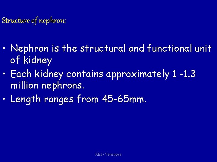 Structure of nephron: • Nephron is the structural and functional unit of kidney • Structure of nephron: • Nephron is the structural and functional unit of kidney •