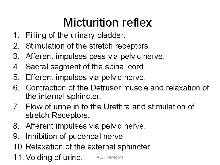 Micturition reflex 1. 2. 3. 4. 5. 6. Filling of the urinary bladder. Stimulation Micturition reflex 1. 2. 3. 4. 5. 6. Filling of the urinary bladder. Stimulation
