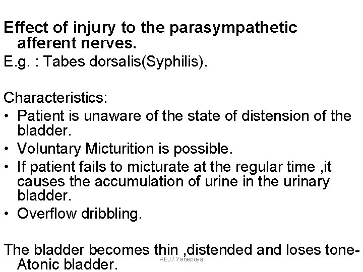 Effect of injury to the parasympathetic afferent nerves. E. g. : Tabes dorsalis(Syphilis). Characteristics: Effect of injury to the parasympathetic afferent nerves. E. g. : Tabes dorsalis(Syphilis). Characteristics: