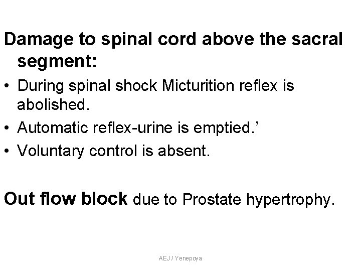 Damage to spinal cord above the sacral segment: • During spinal shock Micturition reflex Damage to spinal cord above the sacral segment: • During spinal shock Micturition reflex
