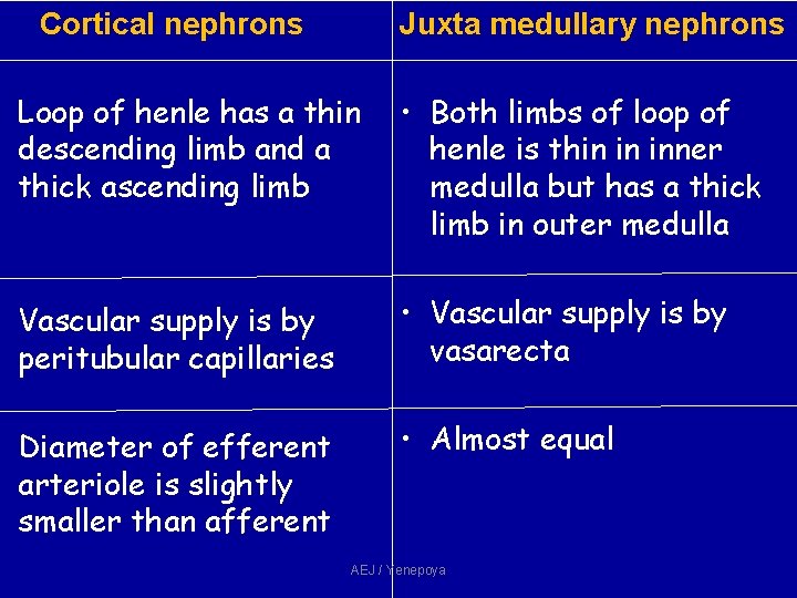 Cortical nephrons Juxta medullary nephrons • Loop of henle has a thin descending limb Cortical nephrons Juxta medullary nephrons • Loop of henle has a thin descending limb