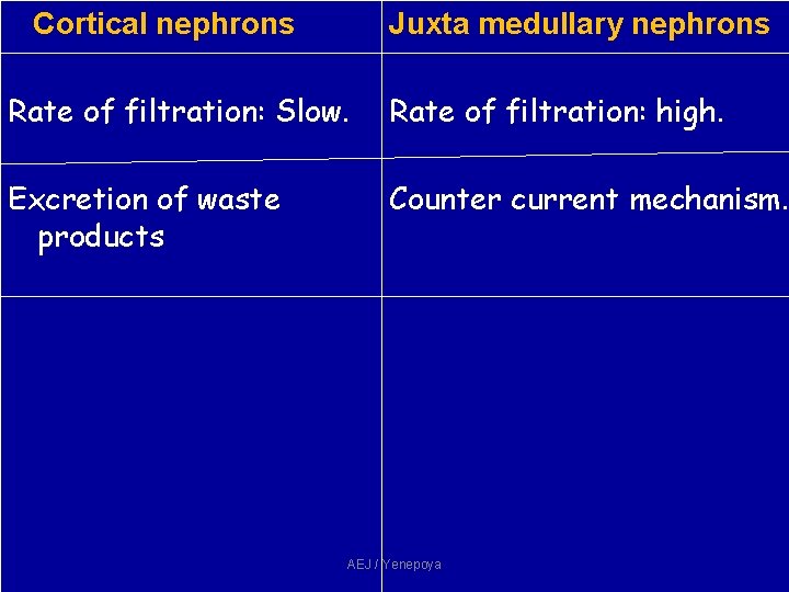 Cortical nephrons Juxta medullary nephrons Rate of filtration: Slow. Rate of filtration: high. Excretion Cortical nephrons Juxta medullary nephrons Rate of filtration: Slow. Rate of filtration: high. Excretion