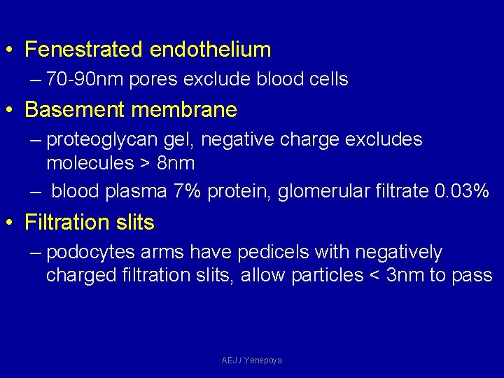 • Fenestrated endothelium – 70 -90 nm pores exclude blood cells • Basement • Fenestrated endothelium – 70 -90 nm pores exclude blood cells • Basement