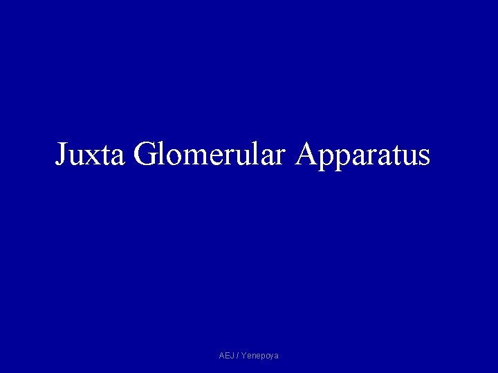Juxta Glomerular Apparatus AEJ / Yenepoya Juxta Glomerular Apparatus AEJ / Yenepoya