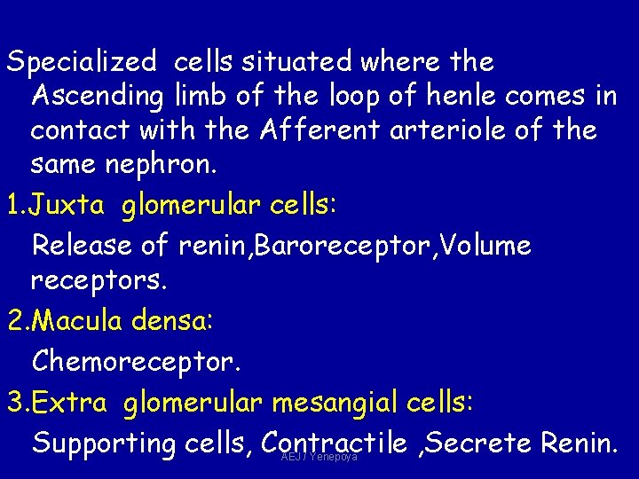 Specialized cells situated where the Ascending limb of the loop of henle comes in Specialized cells situated where the Ascending limb of the loop of henle comes in