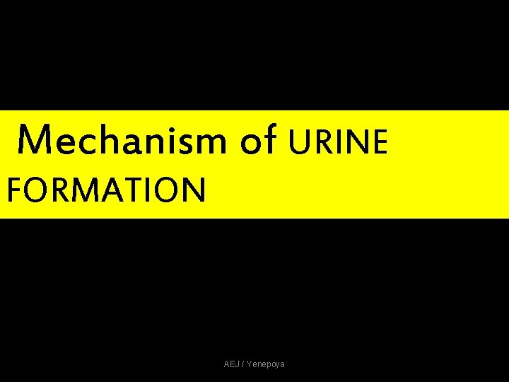 Mechanism of URINE FORMATION AEJ / Yenepoya Mechanism of URINE FORMATION AEJ / Yenepoya