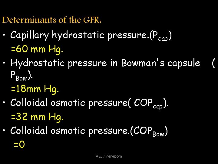 Determinants of the GFR: • Capillary hydrostatic pressure. (Pcap) =60 mm Hg. • Hydrostatic Determinants of the GFR: • Capillary hydrostatic pressure. (Pcap) =60 mm Hg. • Hydrostatic