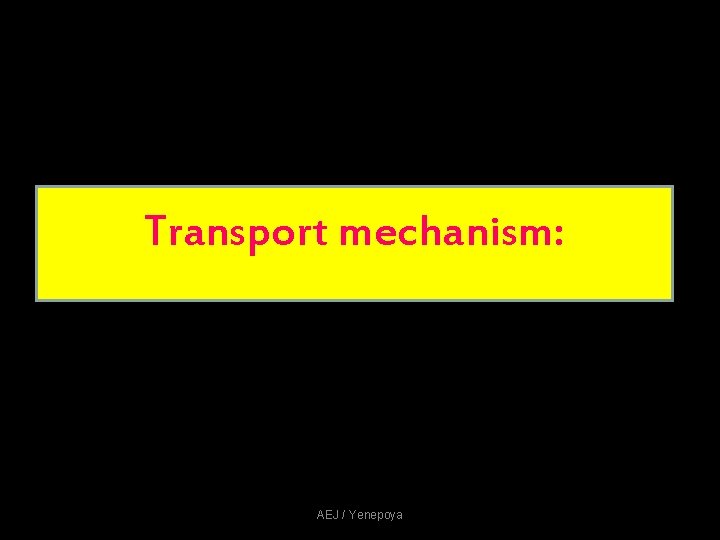 Transport mechanism: AEJ / Yenepoya Transport mechanism: AEJ / Yenepoya