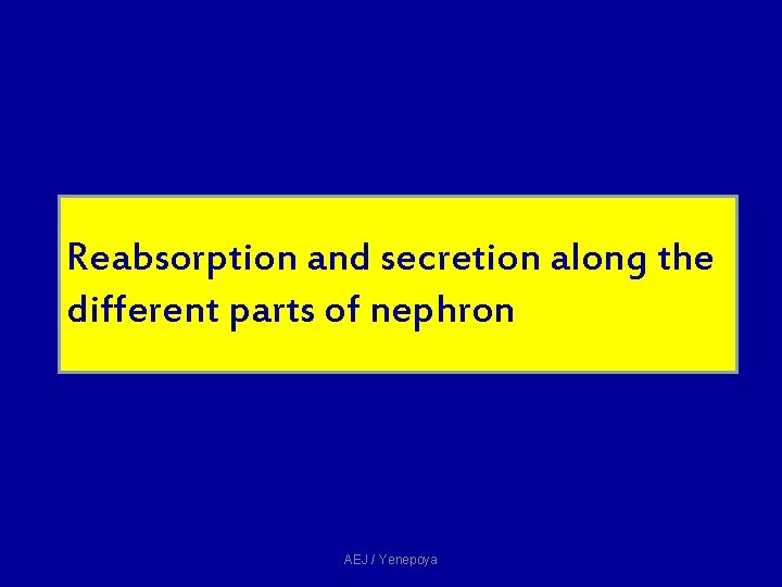 Reabsorption and secretion along the different parts of nephron AEJ / Yenepoya Reabsorption and secretion along the different parts of nephron AEJ / Yenepoya
