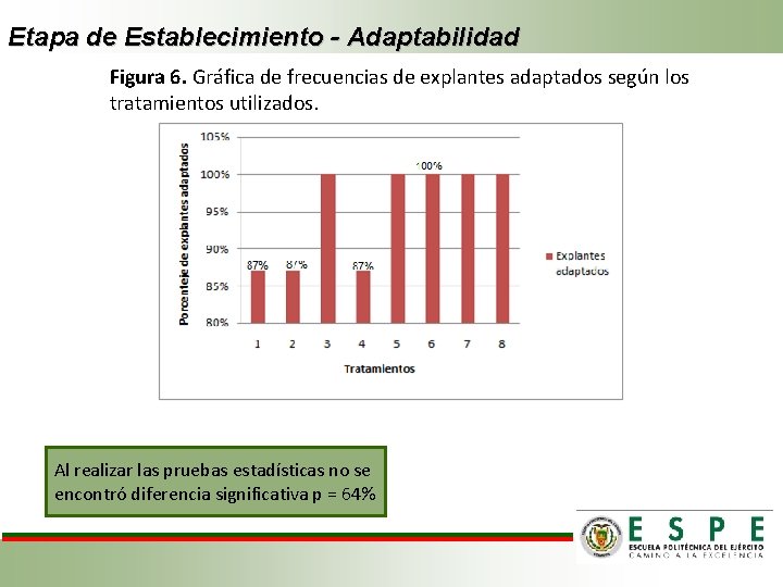 Etapa de Establecimiento - Adaptabilidad Figura 6. Gráfica de frecuencias de explantes adaptados según