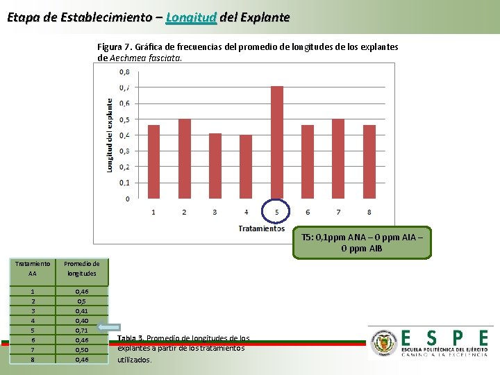 Etapa de Establecimiento – Longitud del Explante Figura 7. Gráfica de frecuencias del promedio