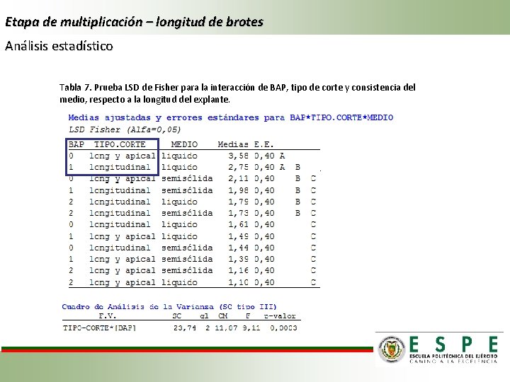 Etapa de multiplicación – longitud de brotes Análisis estadístico Tabla 7. Prueba LSD de