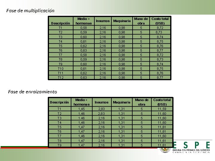 Fase de multiplicación Descripción T 1 T 2 T 3 T 4 T 5