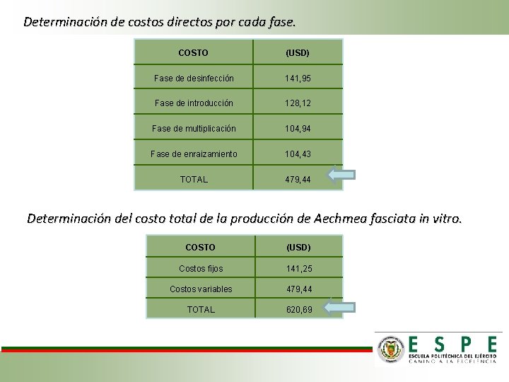 Determinación de costos directos por cada fase. COSTO (USD) Fase de desinfección 141, 95