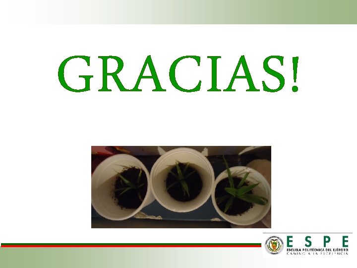 GRACIAS! 