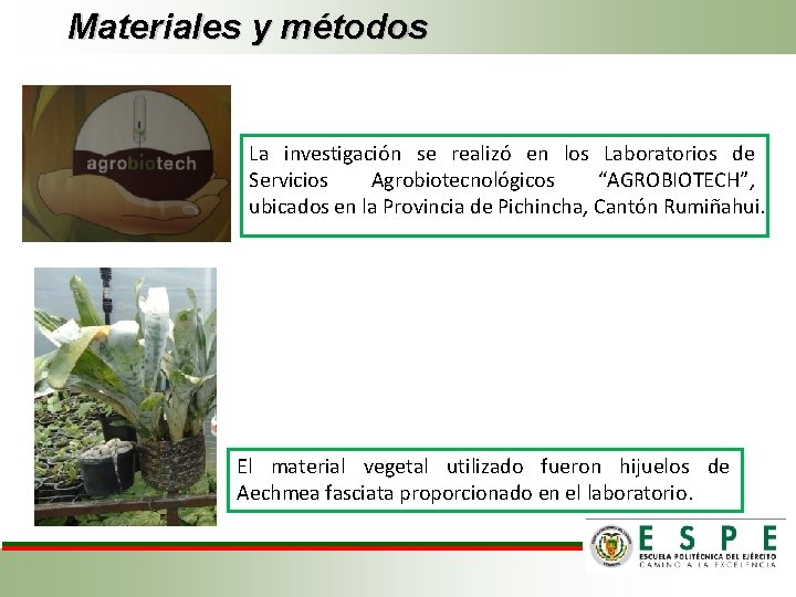 Materiales y métodos La investigación se realizó en los Laboratorios de Servicios Agrobiotecnológicos “AGROBIOTECH”,