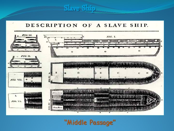 Slave Ship “Middle Passage” 