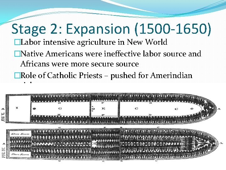 Stage 2: Expansion (1500 -1650) �Labor intensive agriculture in New World �Native Americans were