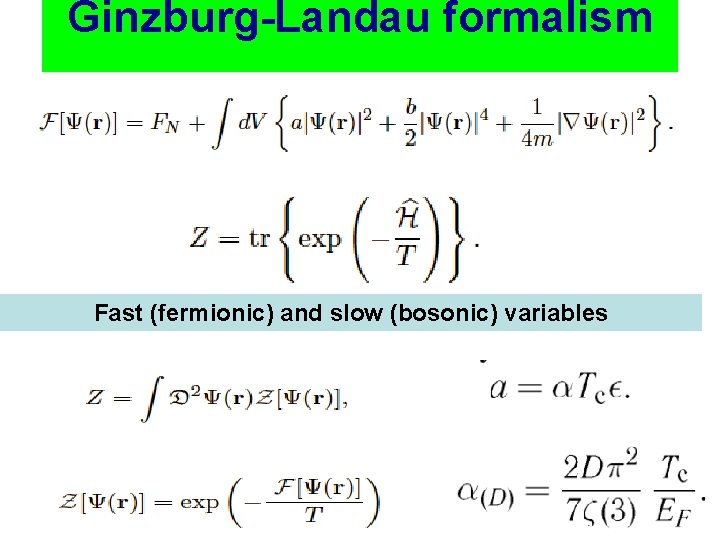 Ginzburg-Landau formalism Fast (fermionic) and slow (bosonic) variables 