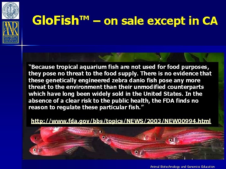 Glo. Fish™ – on sale except in CA “Because tropical aquarium fish are not