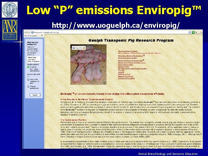 Low “P” emissions Enviropig™ http: //www. uoguelph. ca/enviropig/ Animal Biotechnology and Genomics Education 