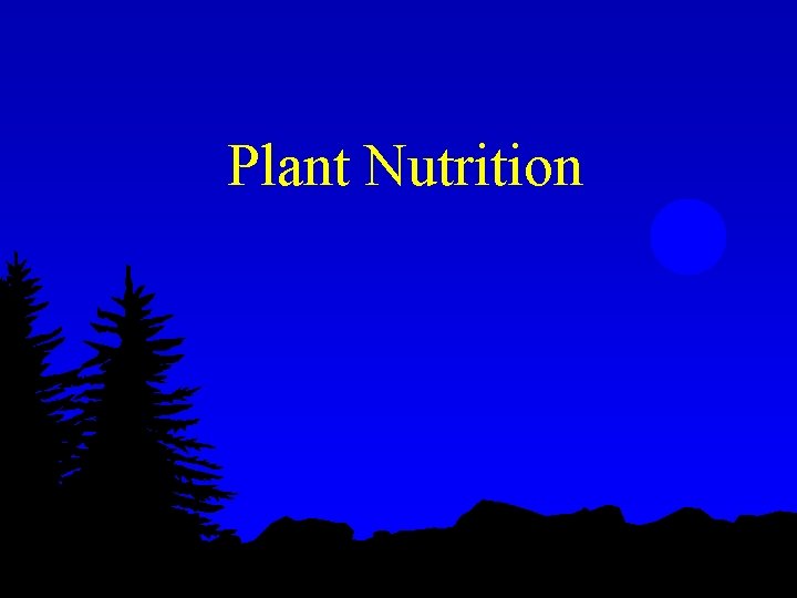 Plant Nutrition 