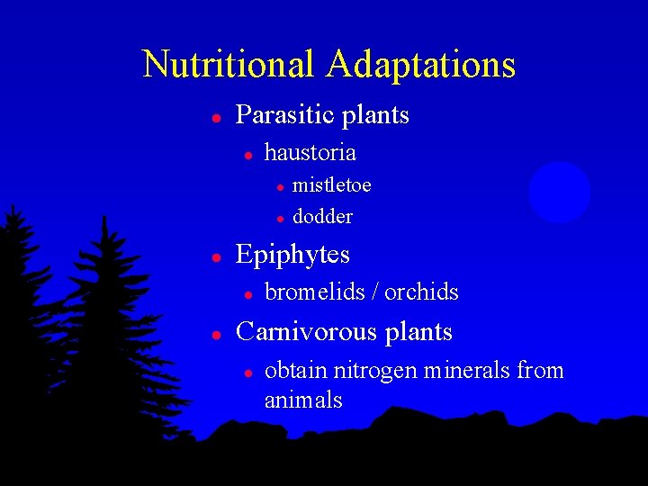 Nutritional Adaptations l Parasitic plants l haustoria l l l Epiphytes l l mistletoe