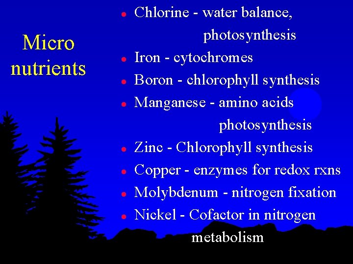 l Micro nutrients l l l l Chlorine - water balance, photosynthesis Iron -