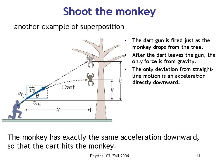 Shoot the monkey — another example of superposition • The dart gun is fired