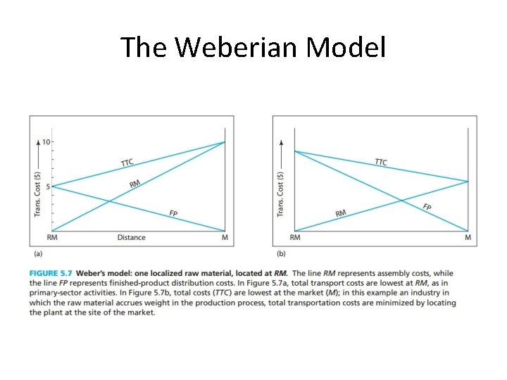 The Weberian Model The Weberian Model
