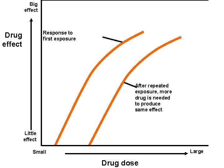 Big effect Response to first exposure Drug effect After repeated exposure, more drug is