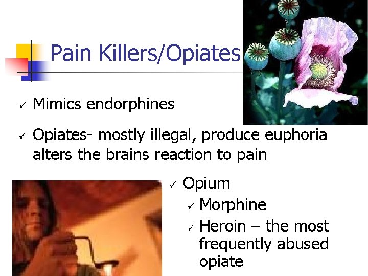 Pain Killers/Opiates ü ü Mimics endorphines Opiates- mostly illegal, produce euphoria alters the brains