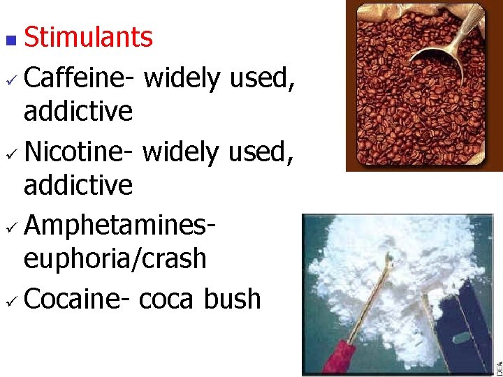 Stimulants ü Caffeine- widely used, addictive ü Nicotine- widely used, addictive ü Amphetamineseuphoria/crash ü