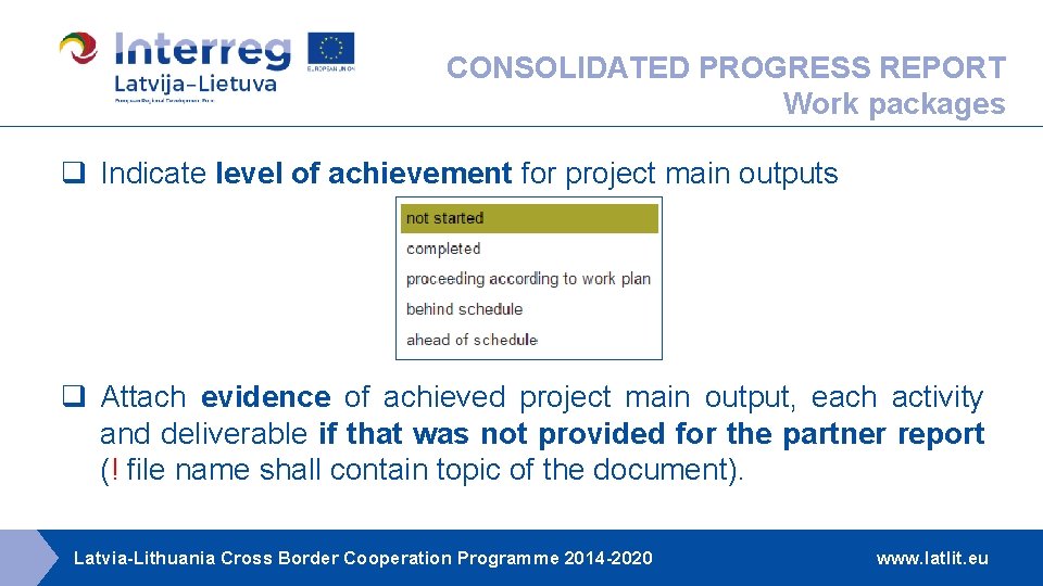 CONSOLIDATED PROGRESS REPORT Work packages q Indicate level of achievement for project main outputs CONSOLIDATED PROGRESS REPORT Work packages q Indicate level of achievement for project main outputs