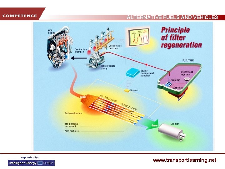 ALTERNATIVE FUELS AND VEHICLES www. transportlearning. net 