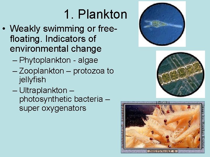 1. Plankton • Weakly swimming or freefloating. Indicators of environmental change – Phytoplankton -