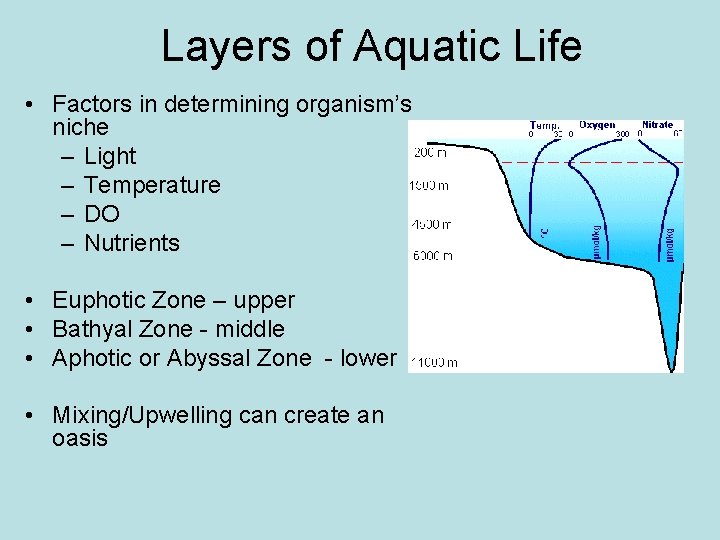 Layers of Aquatic Life • Factors in determining organism’s niche – Light – Temperature