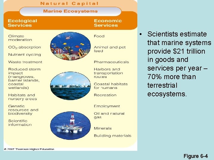  • Scientists estimate that marine systems provide $21 trillion in goods and services