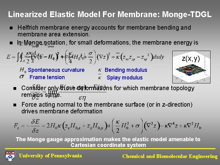 Membrane Modelling Group Thesis Project Proposal Multiscale Modeling of ProteinMediated Membrane