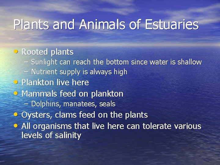Plants and Animals of Estuaries • Rooted plants – Sunlight can reach the bottom Plants and Animals of Estuaries • Rooted plants – Sunlight can reach the bottom