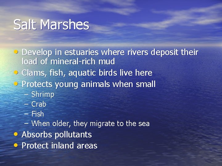 Salt Marshes • Develop in estuaries where rivers deposit their • • load of