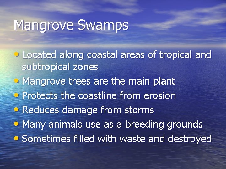 Mangrove Swamps • Located along coastal areas of tropical and subtropical zones • Mangrove