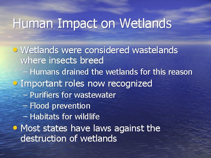 Human Impact on Wetlands • Wetlands were considered wastelands where insects breed – Humans