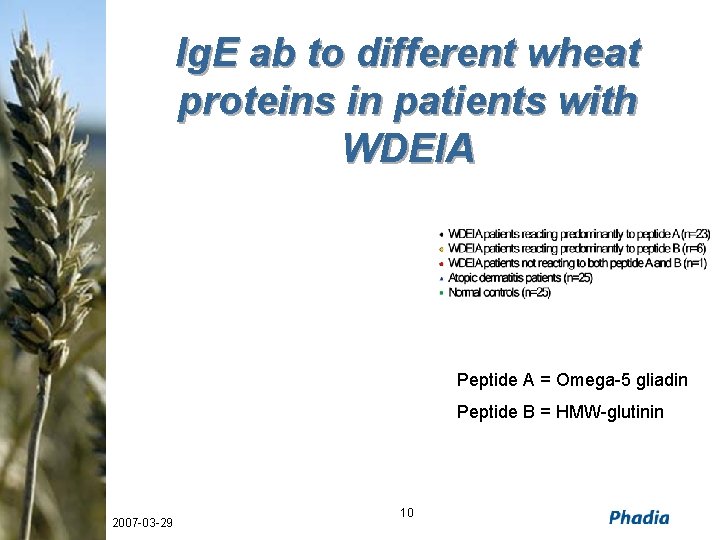 Ig. E ab to different wheat proteins in patients with WDEIA Peptide A =