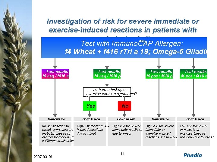 Investigation of risk for severe immediate or exercise-induced reactions in patients with suspected wheat™allergy